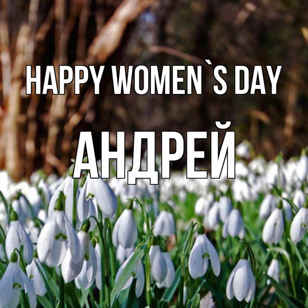 Greetings card с именем, Андрей happy women`s day с подснежниками 1 Greetings with text for free download 